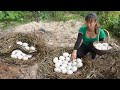 Make a firewood warehouse - Danger lurks with a mysterious nest of eggs - Chúc Thị Mán