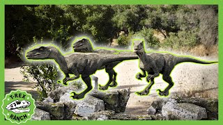 stop who let dinos out t rex ranch dinosaur videos