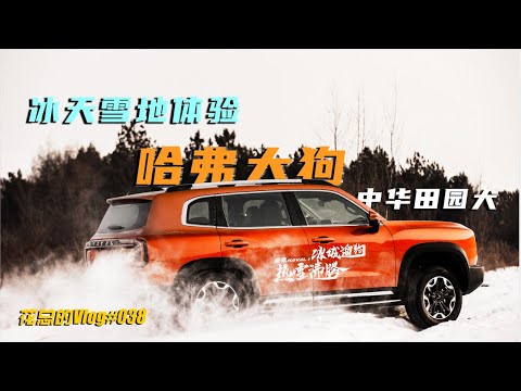 蓝方少年冰中冻成狗——2.0T大狗不难丨花总的Vlog