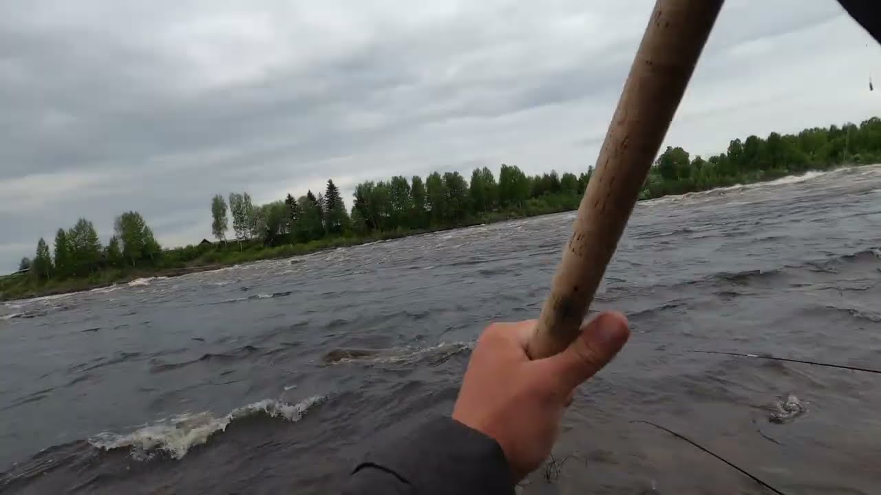 Laxfiske i Torneälven / Torniojoen Lohenkalastus 2022-06-09