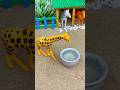 Mini Water Pump for Giraffe 🦒 Real Working Model |#shorts #youtubeshorts