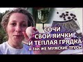 Съездила в Сочи потом сшила мужские трусы и СИЛЬНО РАССЕРДИЛАСЬ. Сделала ТЕПЛУЮ ГРЯДКУ