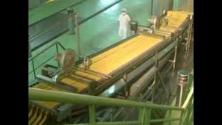 Acecook Việt Nam - Biểu tượng của chất lượng