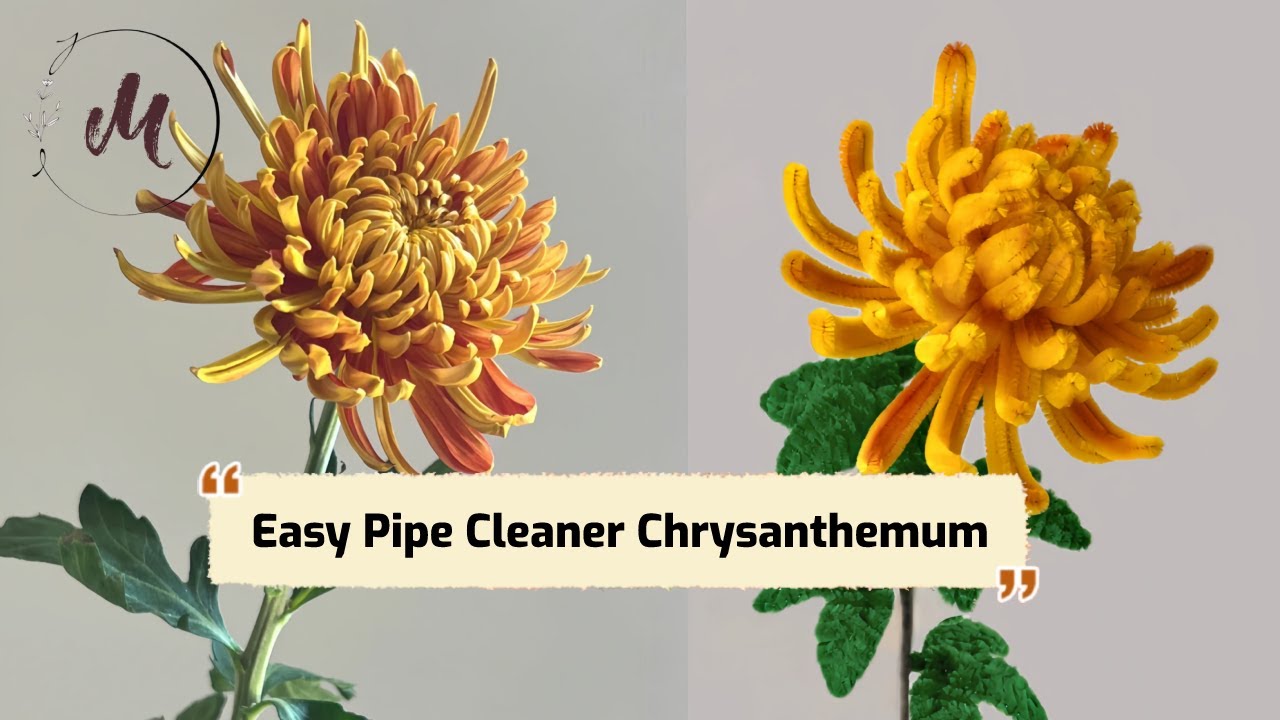 DIY Pipe Cleaner Chrysanthemum Flower/Cách làm hoa cúc từ kẽm nhung 🌼