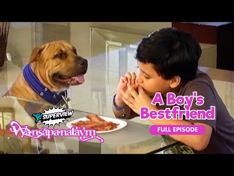 Wansapanataym: A Boy's Bestfriend Full Episode | YeY Superview