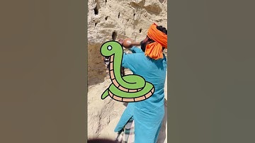 Snake Charming Instrument is working #snake #wildlife #animalrescue
