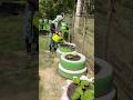 Pindah tanam sawi putih ke pot ban cantik #gardening