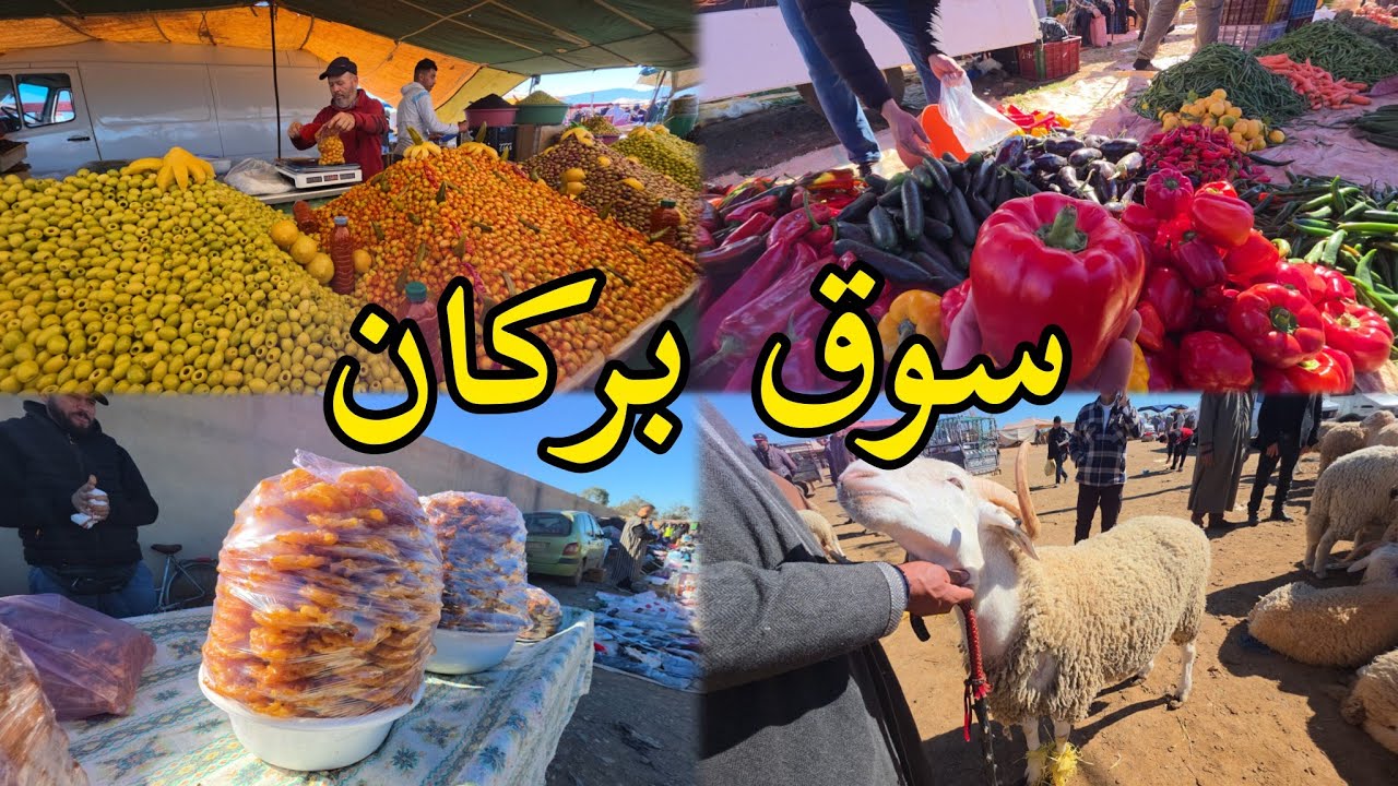 🌞☕ صباح ممتع وحيوي في سوق بركان – الخضروات الطازجة والدجاج 🐔بلدي أرانب 🐇