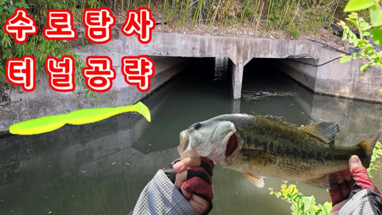 날이 더워지면 배스는 이런곳에 ! 메가배스 슈퍼스핀들