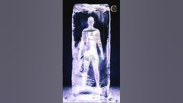 The Island Where You Can