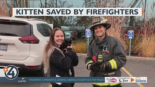 Spokane firefighter saves kitten from bird attack