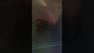 BITS OF STRINGS FILE #python3 #coding #codes#CODET20 Net Worth