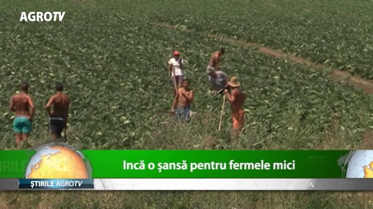 AFIR PRELUNGEȘTE PERIADA DE DEPUNERE A PROIECTELOR PENTRU FERME MICI 1 AFIR PRELUNGEȘTE PERIADA DE DEPUNERE A PROIECTELOR PENTRU FERME MICI YouTube player