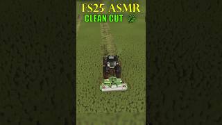 The Most Satisfying Job in FS25! 🌿#FS25 #FarmingSimulator25 #OddlySatisfying #SimulatorGames