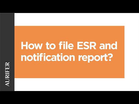 How to file ESR and notification report for 2019?