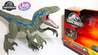 New Super Colossal Velociraptor Blue Unboxing Jurassic World Dinosaur Toy Action Figure Youtube