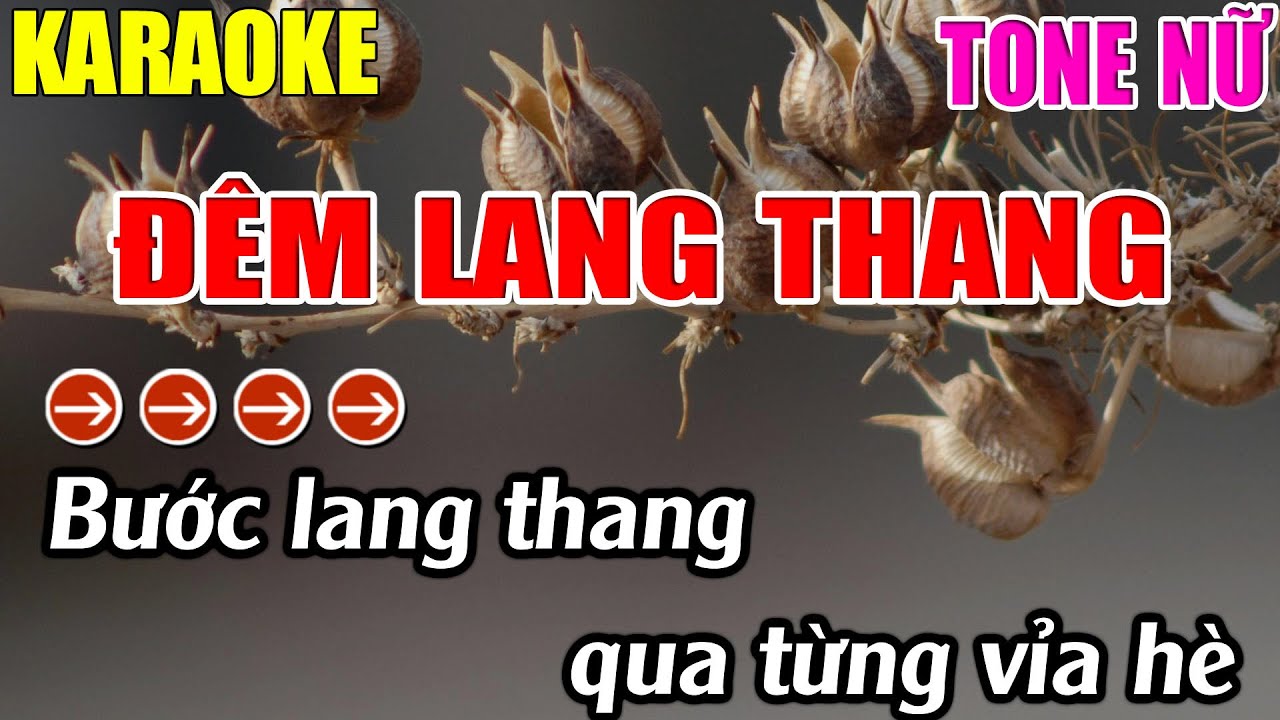 Đêm Lang Thang Karaoke Tone Nữ Karaoke Lâm Nhạc Sống - Beat Chuẩn