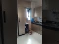 modular kitchen design #shorts #shortvideo #youtubeshorts #kitchen #interiordesign