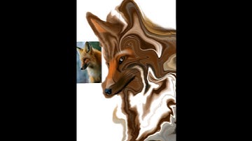 Hybrid Animal Art 🐈🖌️ #artistsoninstagram #procreate #hybrid #animals #abstract #digitalart