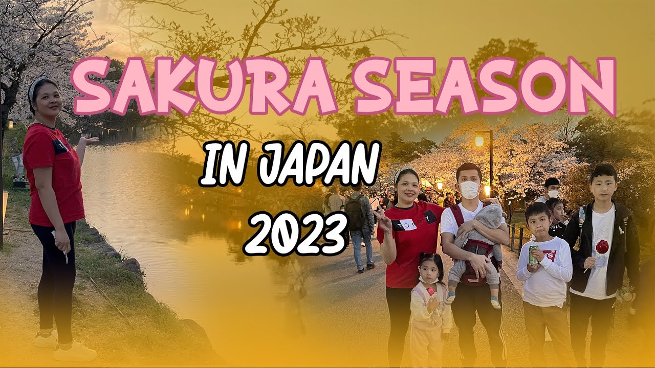 Sakura Season In Japan 2023 Vlog 15 YouTube sakura-season-in-japan-2023-vlog-15-youtube