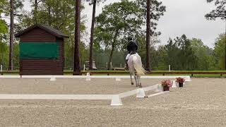 RRP 2024 Flat Work Video