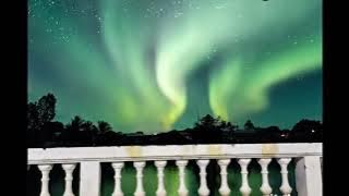 FRESLY NIKIJULUW | ORANG PUNG SAYANG (LIRIK)