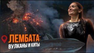 видео: Остров Лембата: извержение вулкана и встреча с синим китом | Дикое путешествие по Индонезии. Часть 2 картинка: Остров Лембата: извержение вулкана и встреча с синим китом | Дикое путешествие по Индонезии. Часть 2