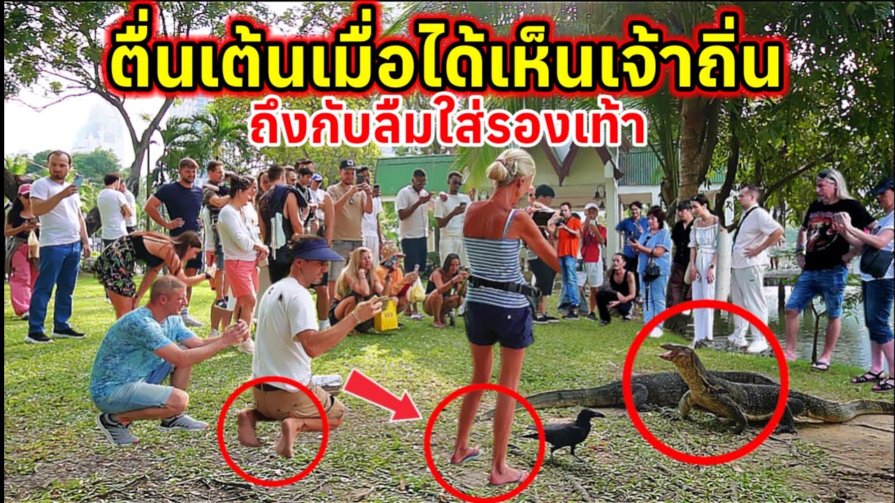 นักท่องเที่ยวตื่นเต้นจนลืมใส่รองเท้าเมื่อได้เจอกับเจ้าถิ่นสวนลุมเพื่อรีบมาถ่ายรูป