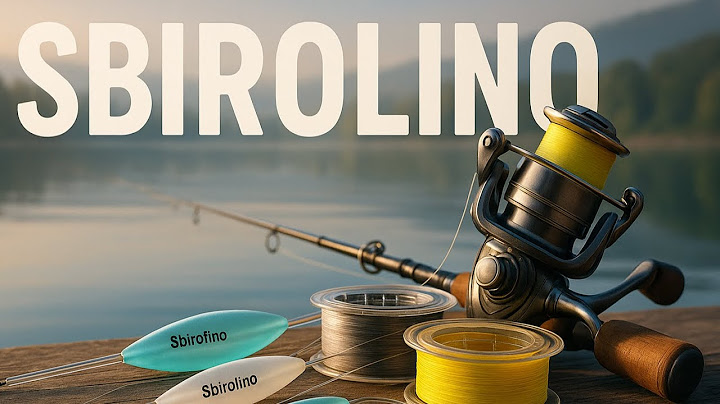 Catch EVERYTHING - from CRUCIAN CARP to TAIMEN! Fishing with a BOMBARD: take the FIRST step!