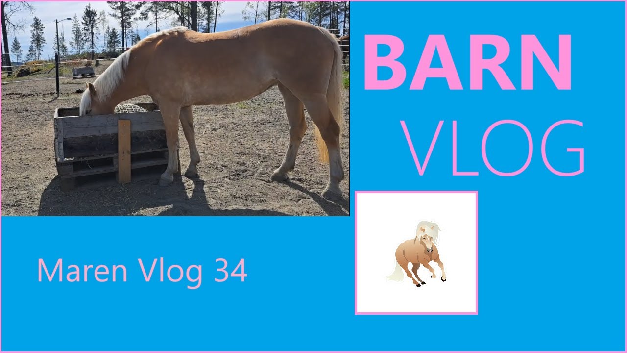 Barn vlog at the new Barn - YouTube