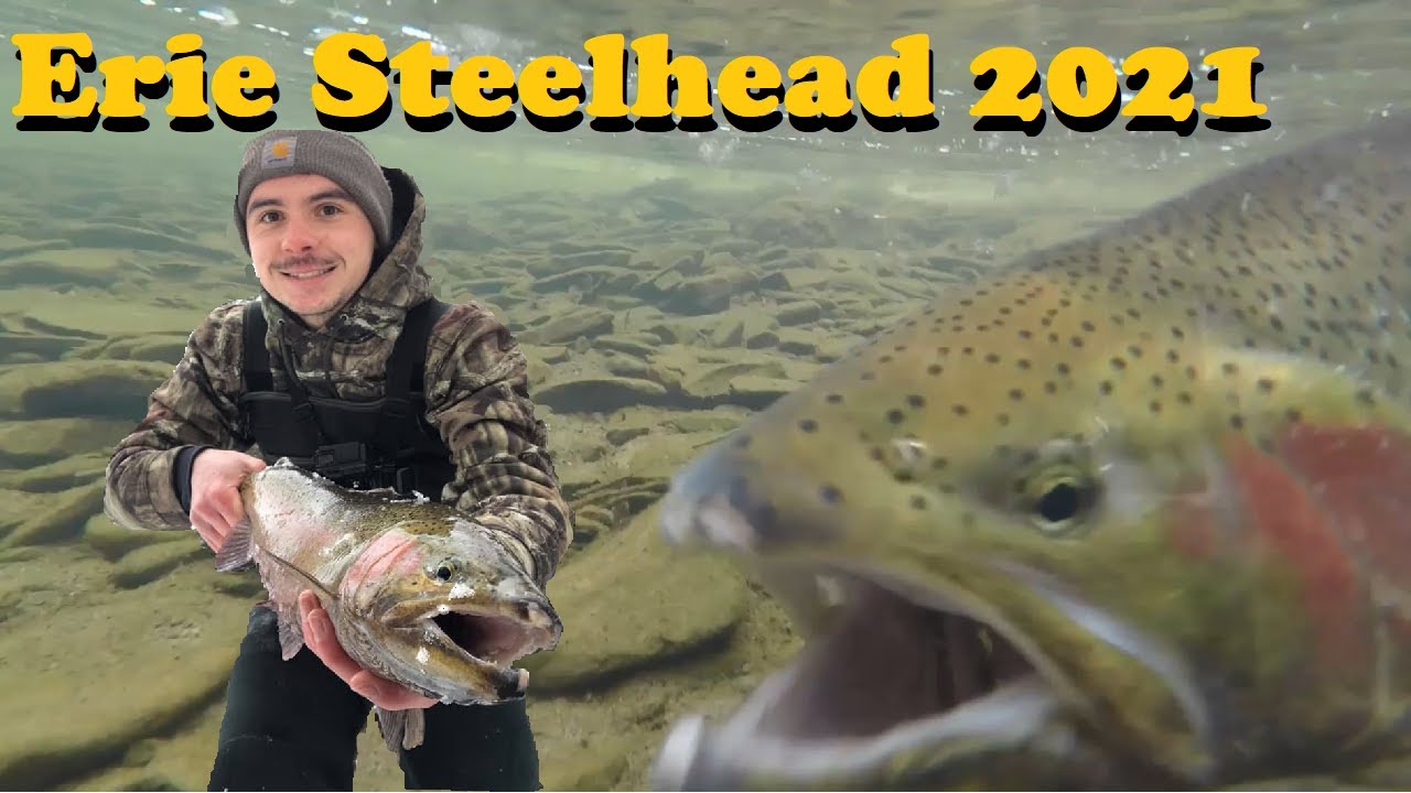 Erie Steelhead Fishing 2021 *UNDERWATER FOOTAGE!*