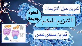 تمرين ممتاز حول الانزيمات المنظمة|فكرة جديدة 🔥 بكالوريا