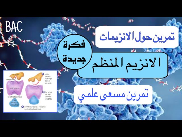 تمرين ممتاز حول الانزيمات المنظمة|فكرة جديدة 🔥 بكالوريا
