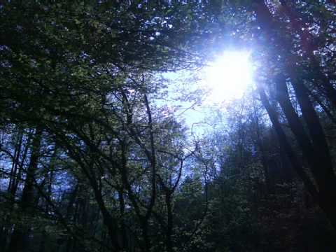 Ron Kenoly WELCOME HOME