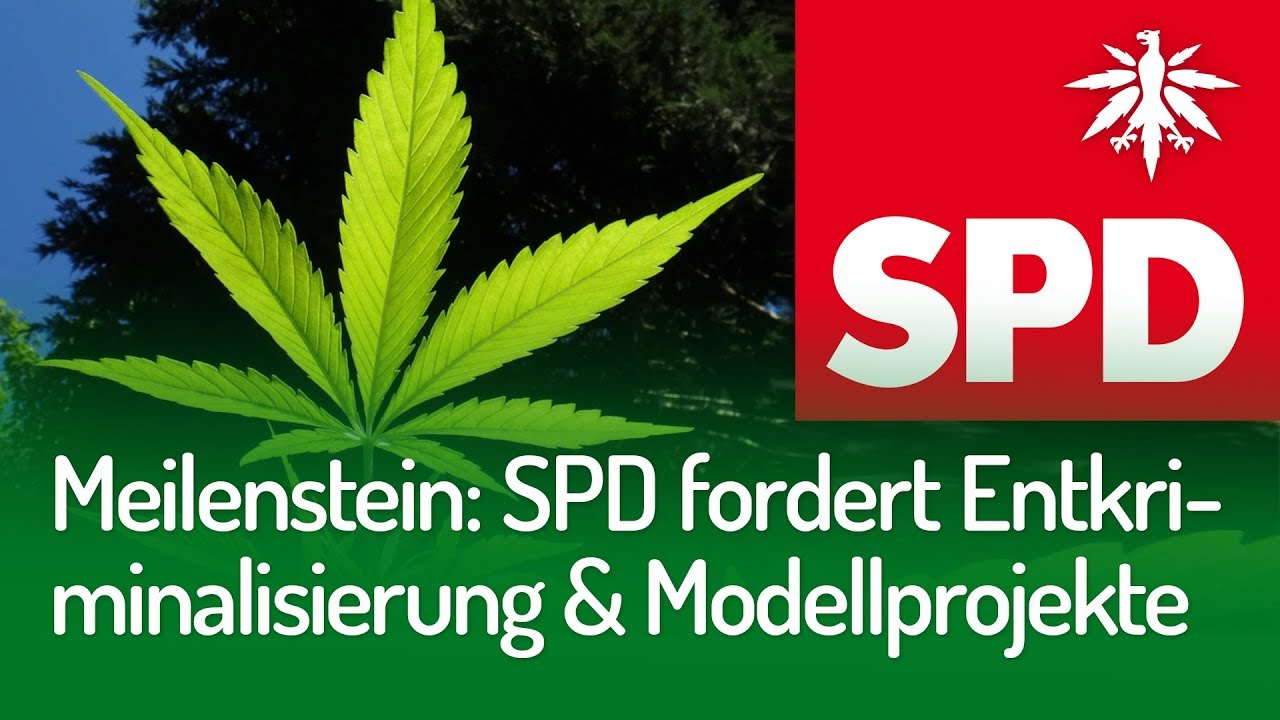 Meilenstein: SPD-Fraktion für Entkriminalisierung und Modellprojekte | DHV-News 