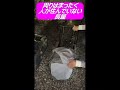 元気に生きていってね