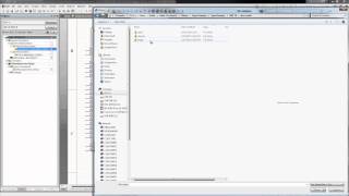 IBIS Implementation Editor
