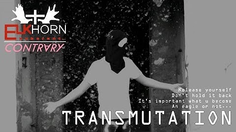 Elkhorn ft. Polina Semichenko - Transmutation (Official Video)