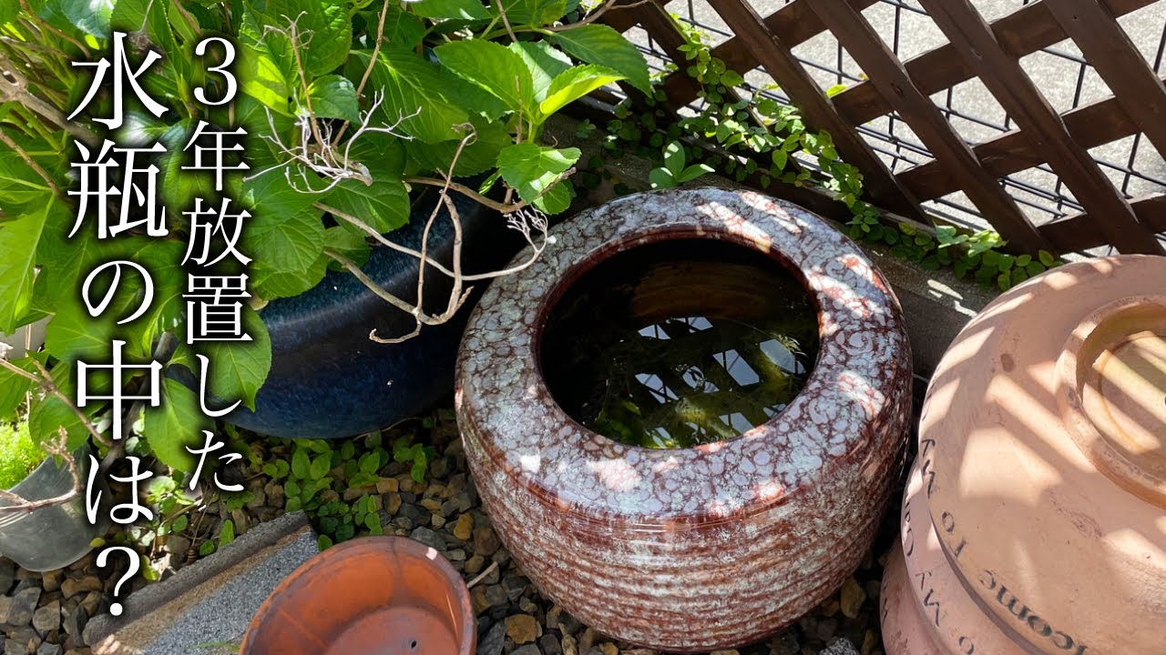 巨大な水瓶、メダカや金魚の飼育に是非！(商談中）