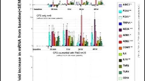 Dr. A. Light, University of Utah - Abnormale Genexpression unter Belastung in ME/CFS, Teil 2