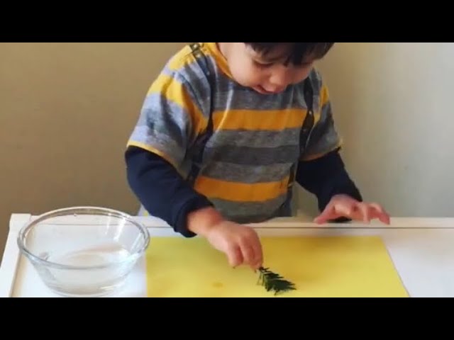 Crazy Easy Paint with Water Construction Paper Art for Kids - HOAWG