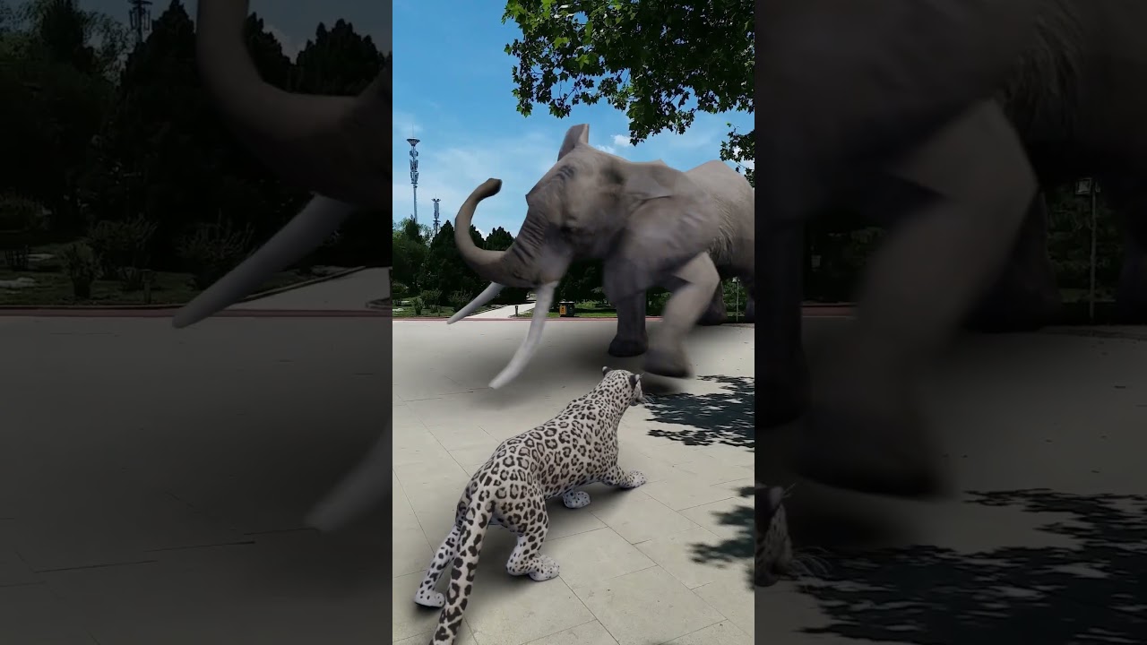 elephant meets leopard 