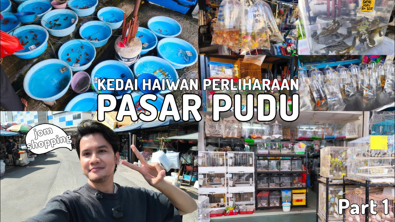PART 1 : VLOG SHOPPING IKAN PERHIASAN DI PASAR PUDU | KEDAI AKUARIUM PASAR PUDU 🇲🇾