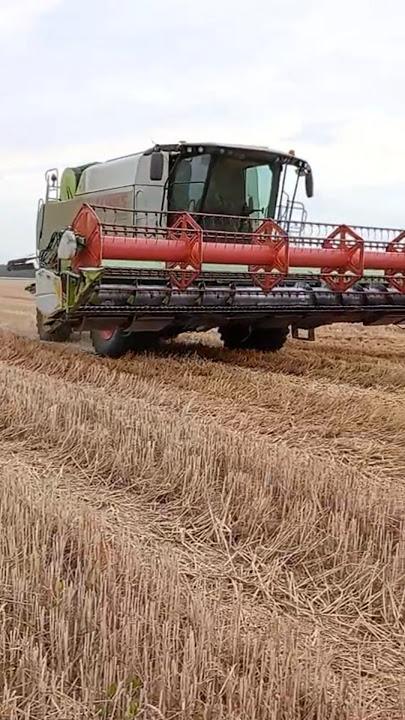 COMBINE CLAAS LEXION 660#claas #combine #harvest #farming #agriculture