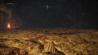 Elden Ring Magma Myrm