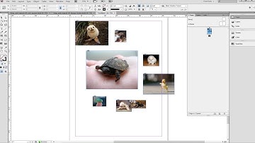 InDesign Step and Repeat