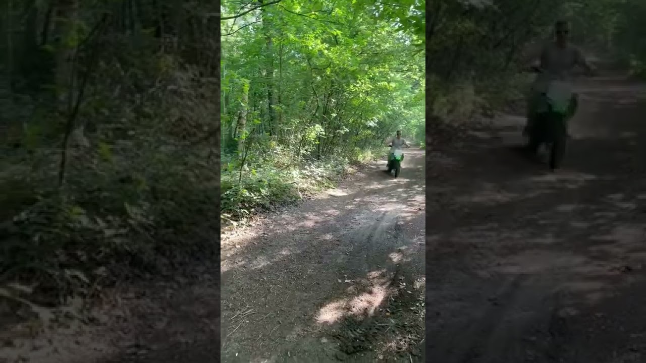 pitster pro 160cc yx