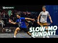 Tarek Momen v Paul Coll in Slow Motion! | Slow-Mo Sunday 🎥