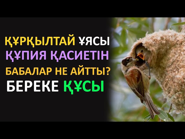 ВКонтакте желісіндегі әйелдер есектерінің фотогалереясы Дәрігер мен медбике дәрігер жыныс мүшесін өлшейді