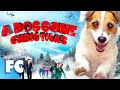 A Doggone Christmas Full Movie Family Dog Adventure Just Jesse The Jack Russell Terrier FC